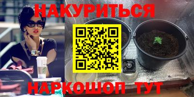 крисы Бузулук